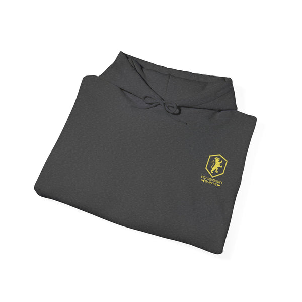 Made in the Image of God - Hooded Sweatshirt